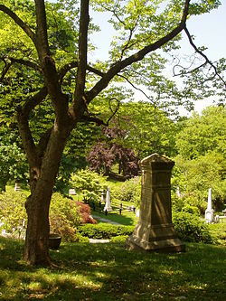View of Mt Auburn Cemetery