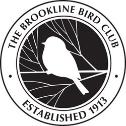 Brookline Bird Club Logo