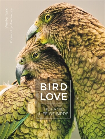 Discount On Princeton Bird Books Brookline Bird Club