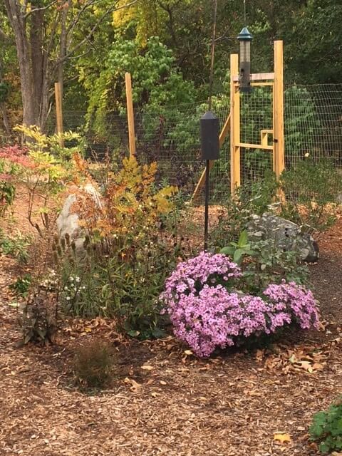 Ida memorial garden fall 2020b