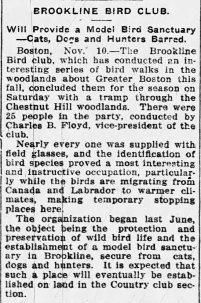 Rutland Daily Herald 11111913 Rutland Daily Herald 11111913