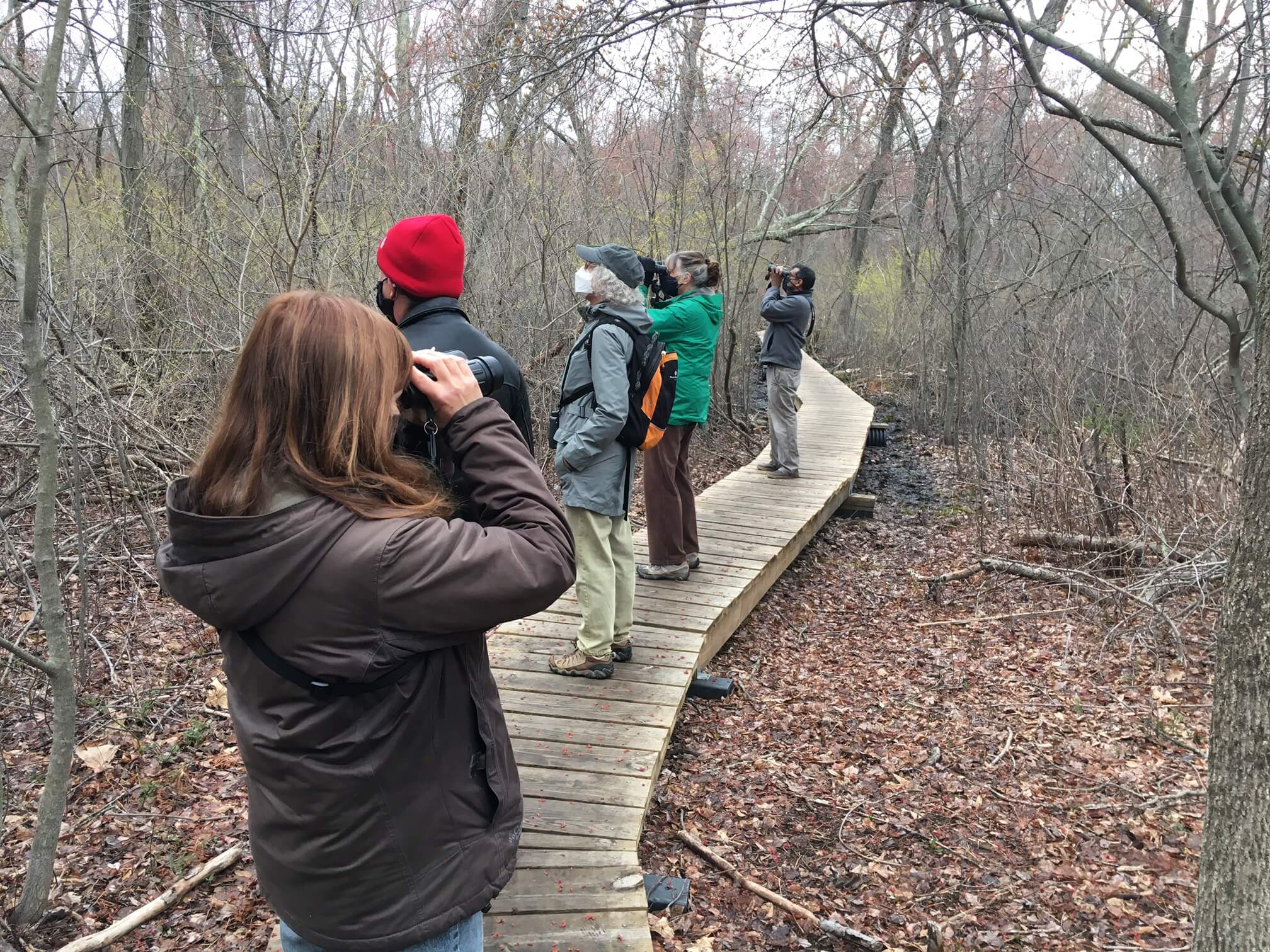 BBC trip to Hayden Woods