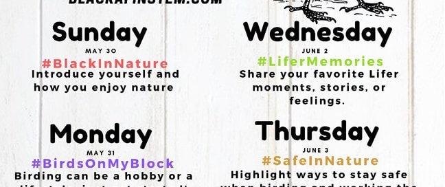 Black Birders Week