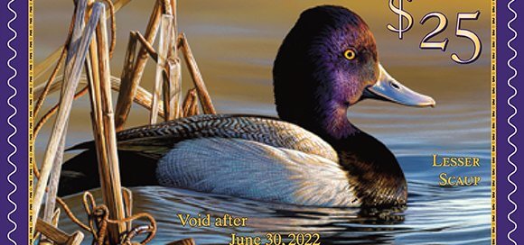 2021-2022 Federal Duck Stamp