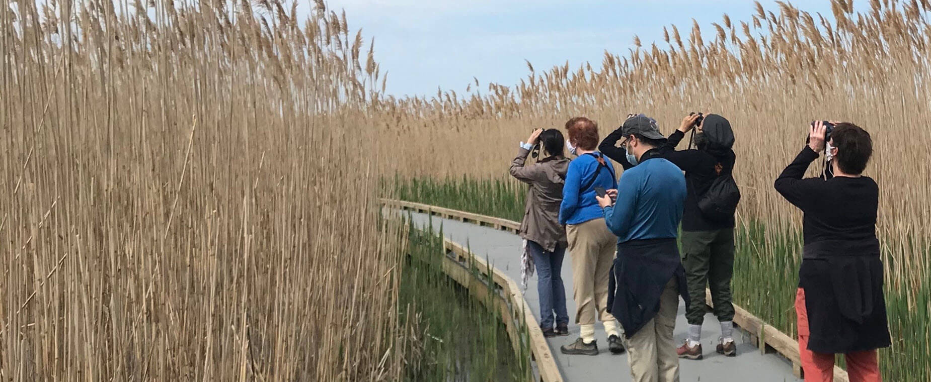Hellcat marsh Spring 2021