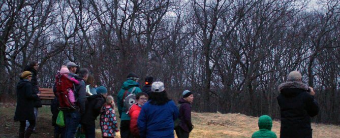 “Timberdoodles” kids’ walk, Belmont, March 26, 2022