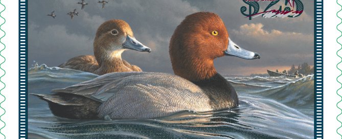 Duck stamp