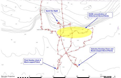 BBC Extreme Pelagic 8/272022-8/28/2022 Detailed Route