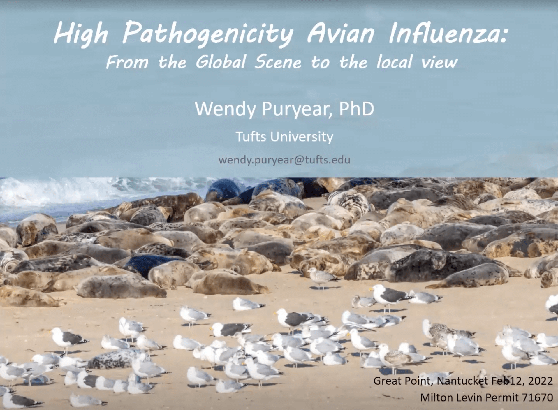 HPAI Avian Flu, from the Global Scene to Local View