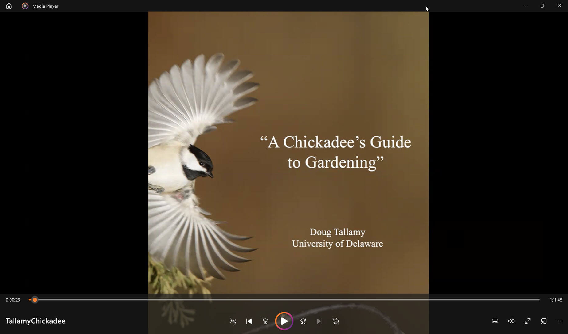 A Chickadee's Guide to Gardening