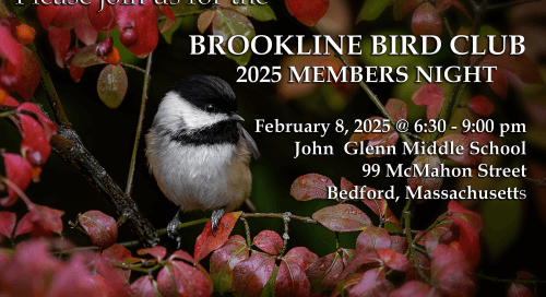 2025 Members Night Graphic
