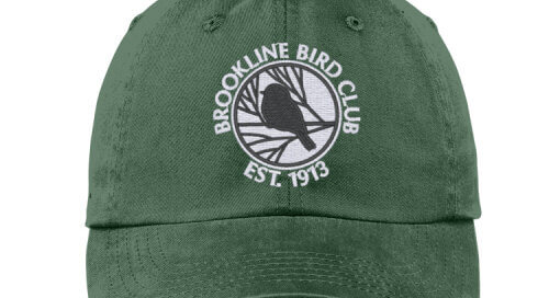 BBC Baseball Hat