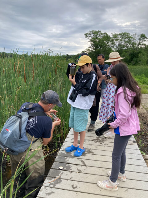 Kids walk at Great Meadows in Concord