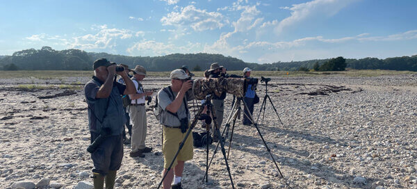 Participants at Ellsville Harbor State park shorebird walk