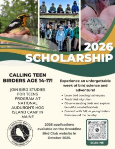 BBC Young Birders Scholarship Flyer