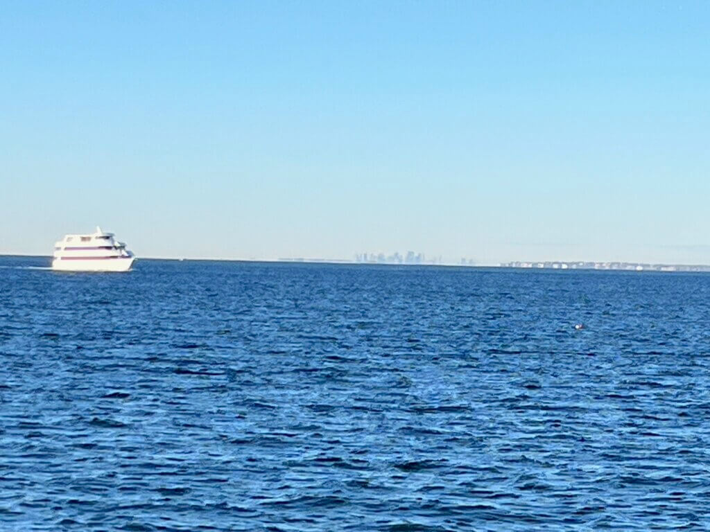 Distant View of Boston from sea