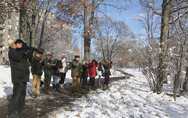 Winter bird trip led by Bob Mayer