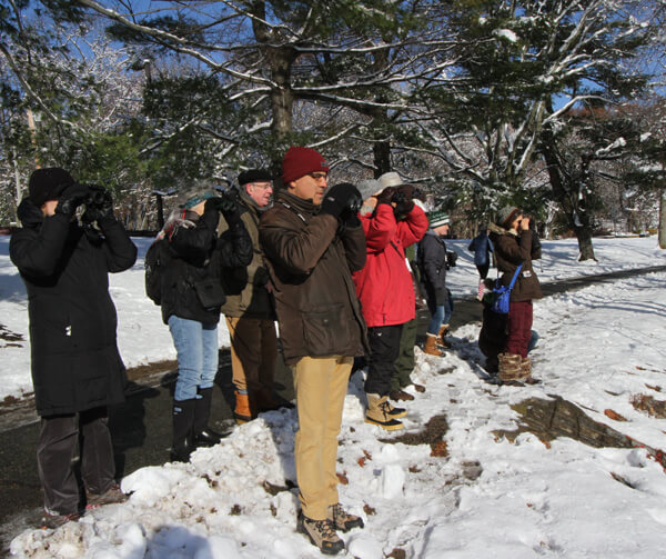 Winter bird trip led by Bob Mayer