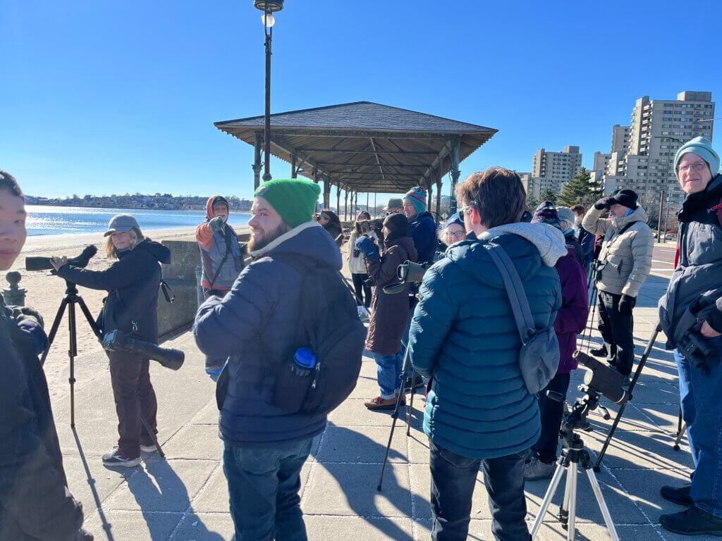 Revere Beach Gull Walk Participants
