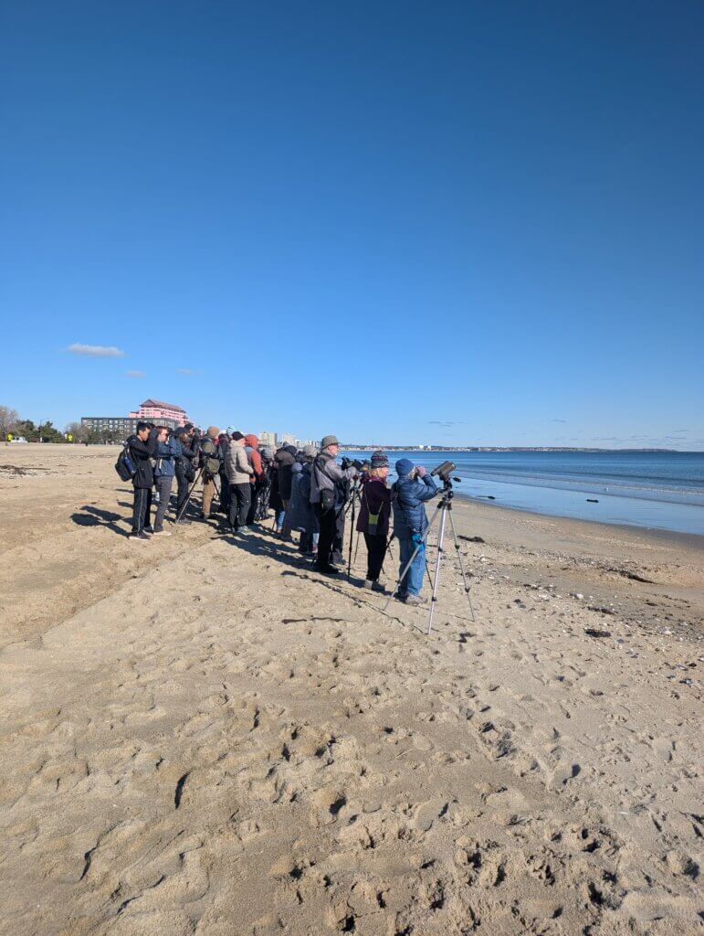 Revere Beach Gull Walk Participants