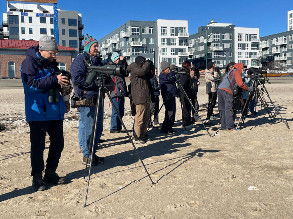 Revere Beach Gull Walk Participants