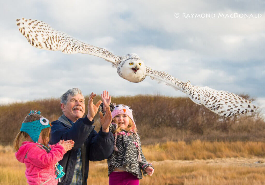 Norman Smith and Snowy Owl