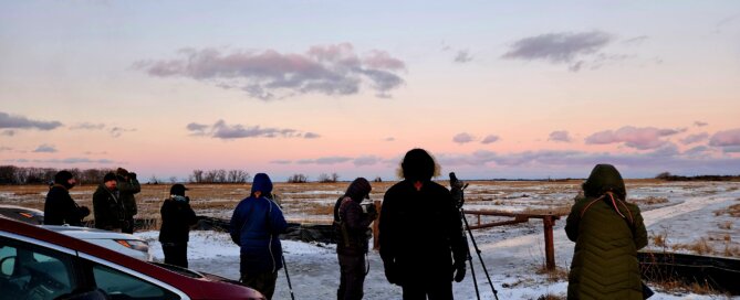 January 1 2026 Plum Island at sunset