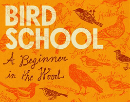 Cover of Bird School