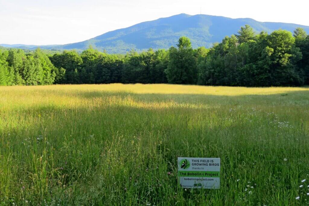 Bobolink Habitat