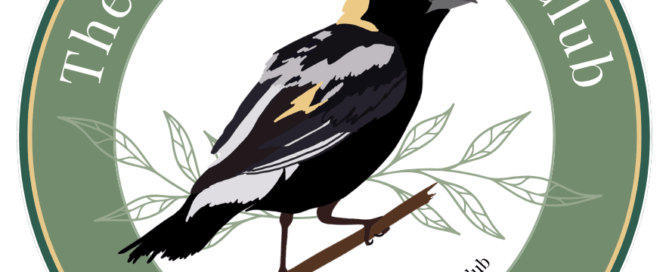 BBC 2026 Bobolink Sticker