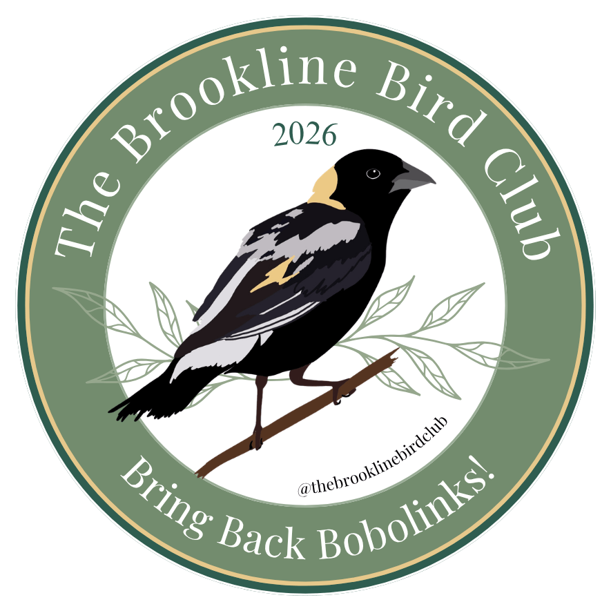 BBC 2026 Bobolink Sticker