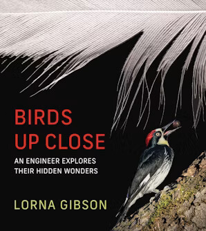 Cover of Birds Up Close