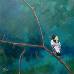 Bobolink Painting by Judith Robichaud