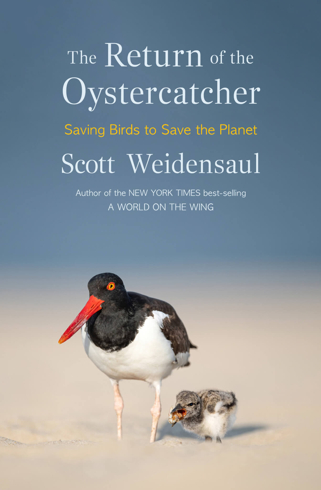 Cover of The Return of the Oystercatcher by Scott Weidensaul